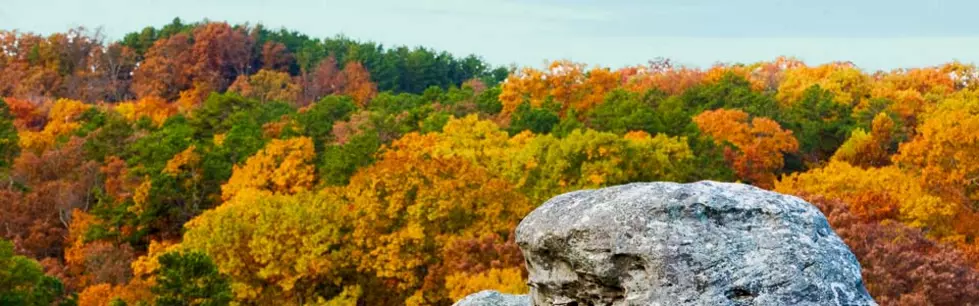 It Won&#8217;t Be Long Before We See Spectacular Fall Colors