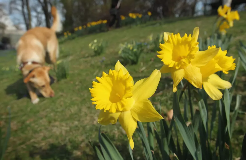 A Mix of Rain and Sun Expected the Rest of the Week