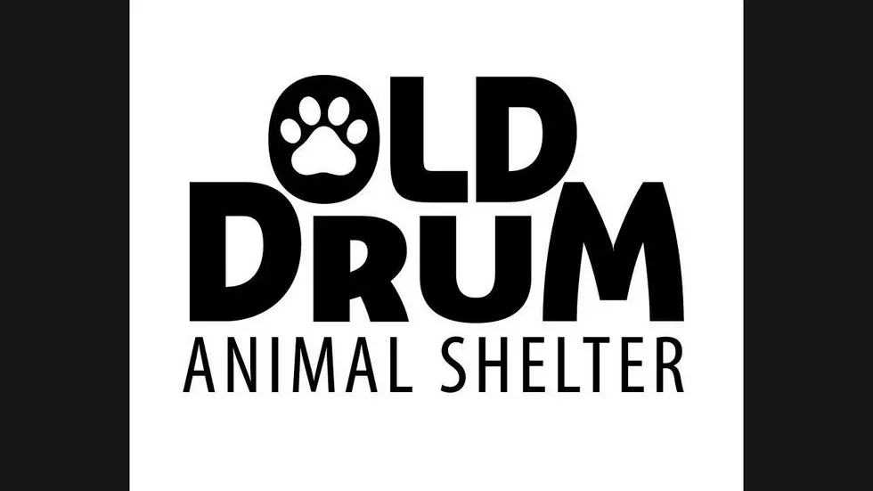Help Sustain Warrensburg’s Old Drum Animal Shelter