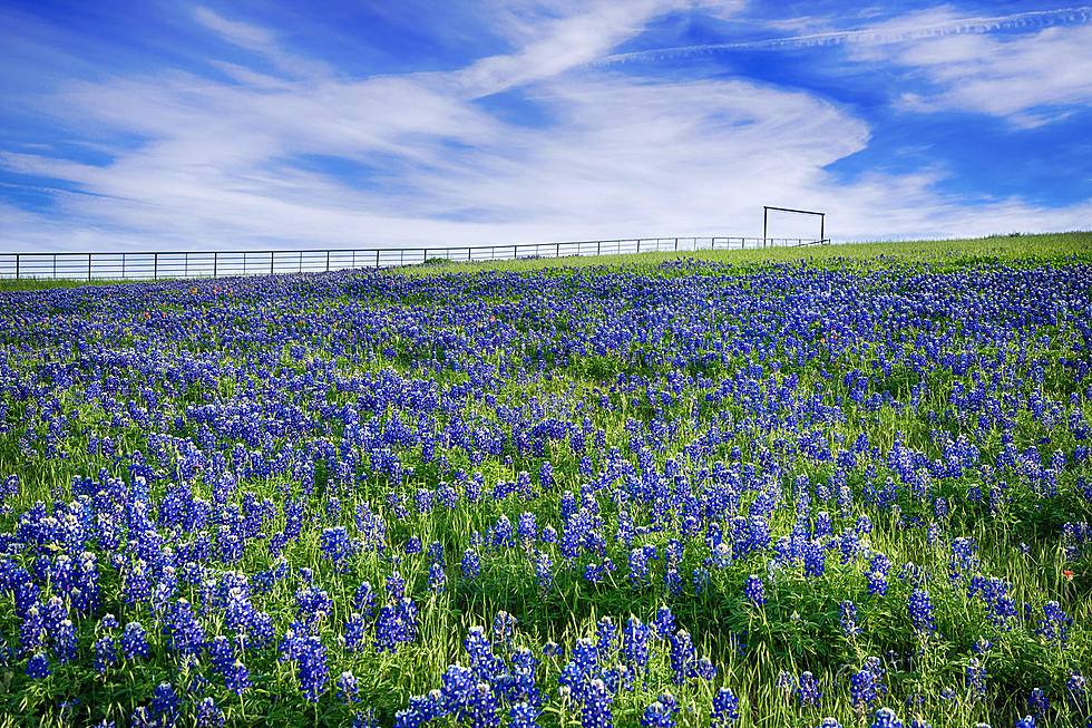 What’s The Biggest Ranch in Missouri?