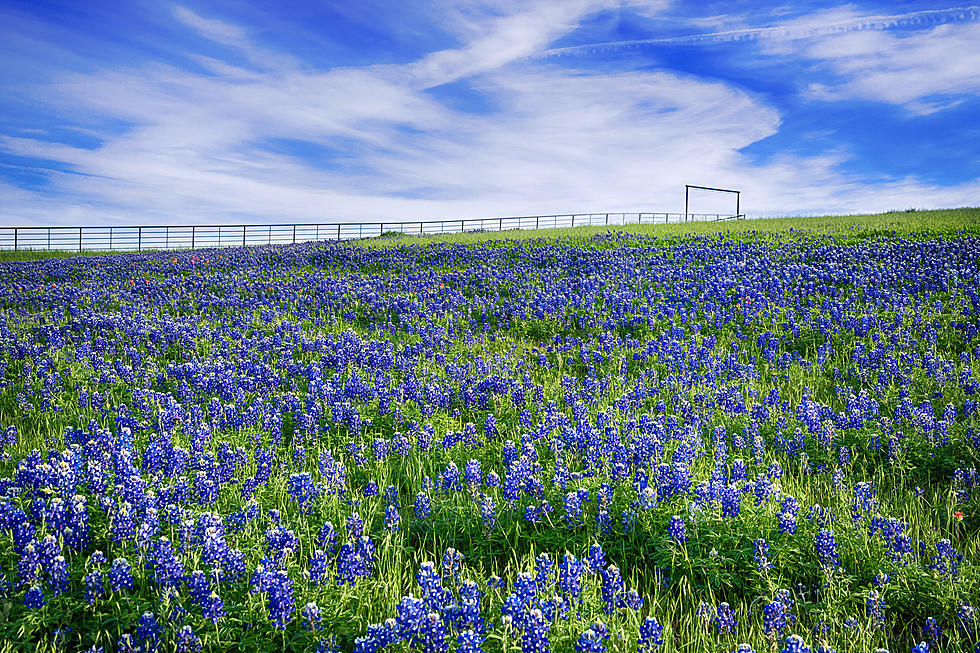 What&#8217;s The Biggest Ranch in Missouri?