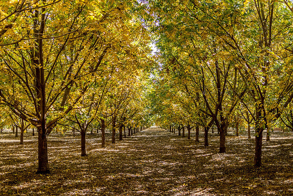 Growing Up In Sedalia Here&#8217;s How You Knew Summer Was Ending