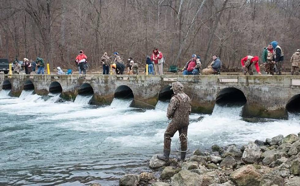 Veterans Who Like Fishing? Missouri State Parks Got You Covered