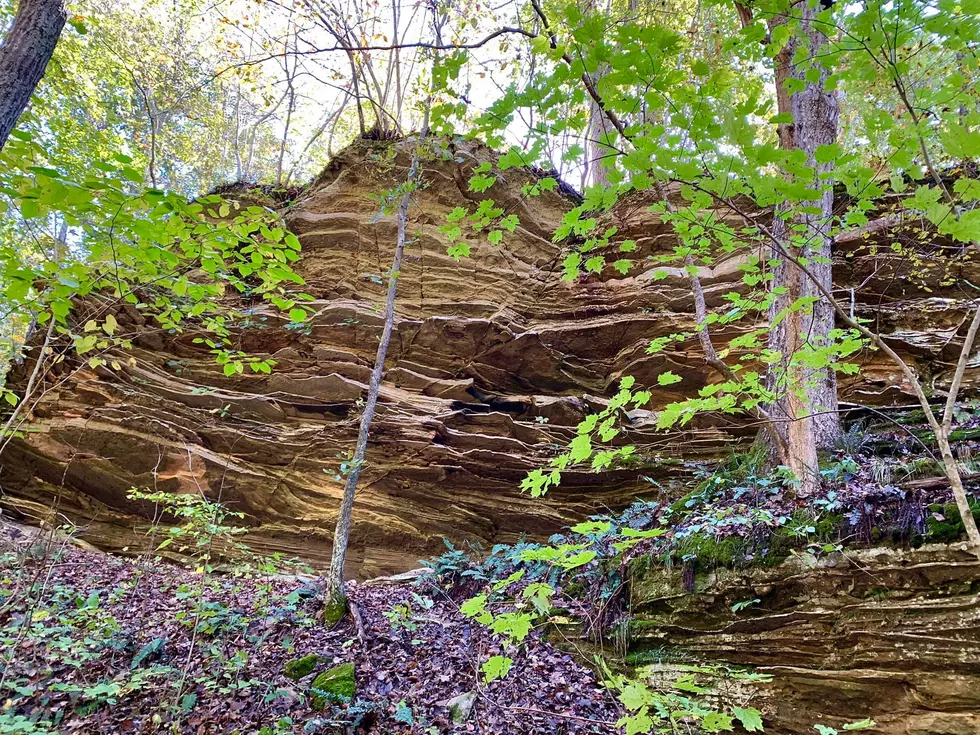 Facebook Page - Turkey Pen Hollow Trail
