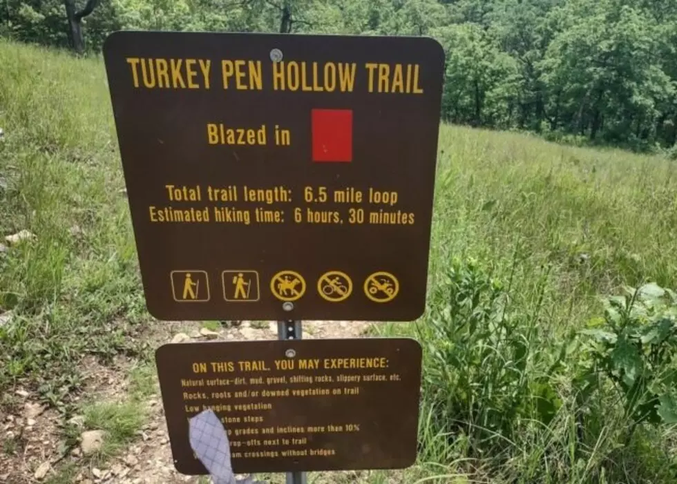 Turkey Pen Hollow Trail In Missouri Is Only 90 Minutes Away. Why You Should Go