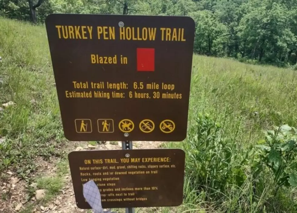 See Turkey Pen Hollow Trail In Missouri. Its Only 90 Minutes Away