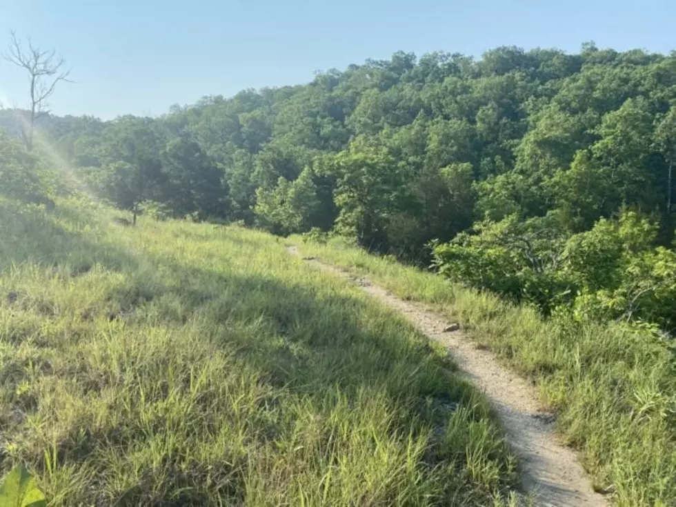 All Trails/Chris Hildenbrandt