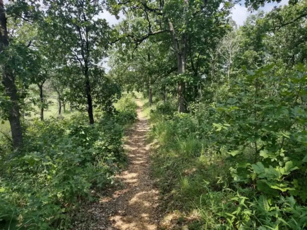 All Trails/David Wilson