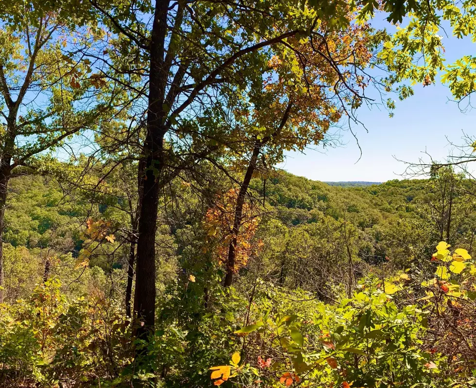 Facebook Page/ Turkey Pen Hollow Trail
