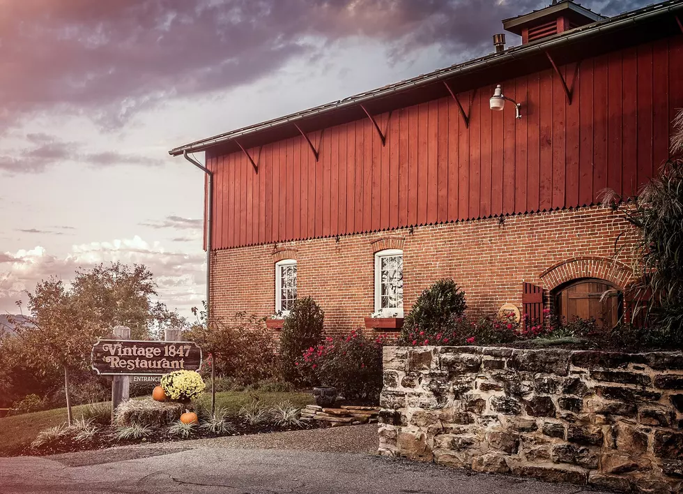 Who Knew A 171 Year Old Stable Had Such Great Food And Drink?