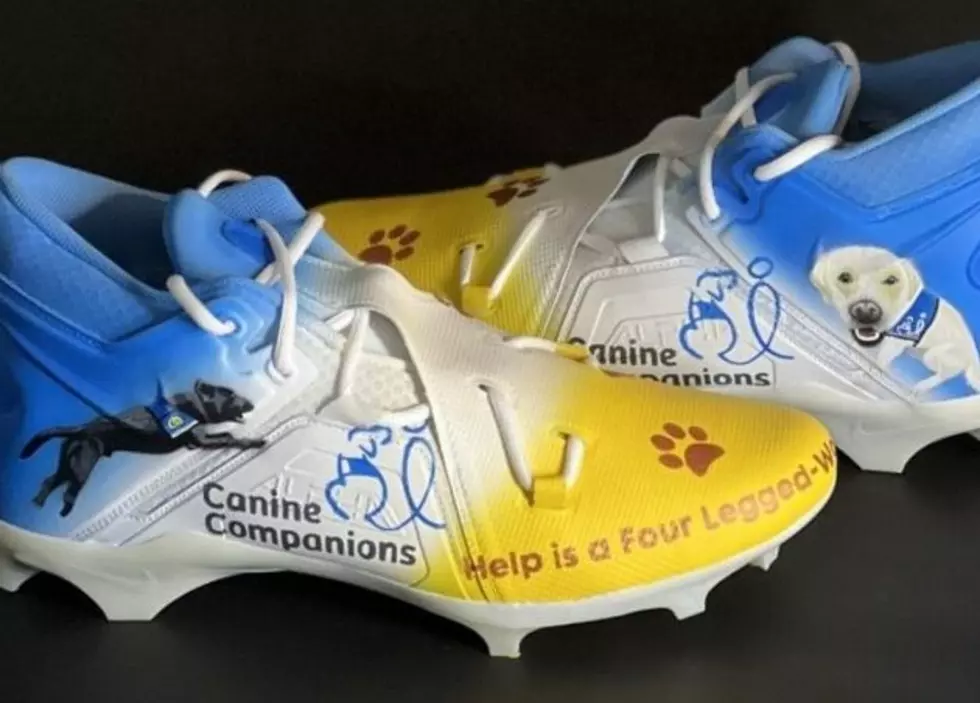 A Chiefs DE Wears Cleats On Sunday Promoting Service Program For Dogs