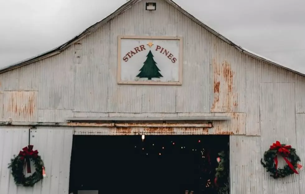 Christmas Tree Farm In Missouri Also Offers Hayrides? Cool! Where Is It?
