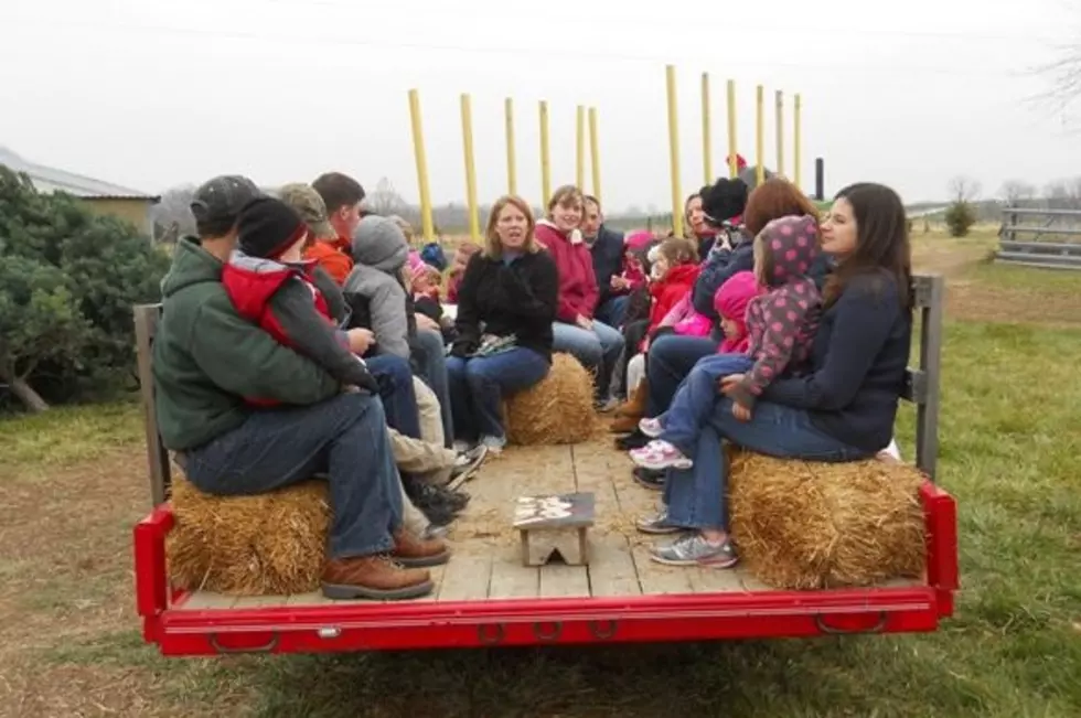 Facebook - Starr Pines Christmas Tree Farm