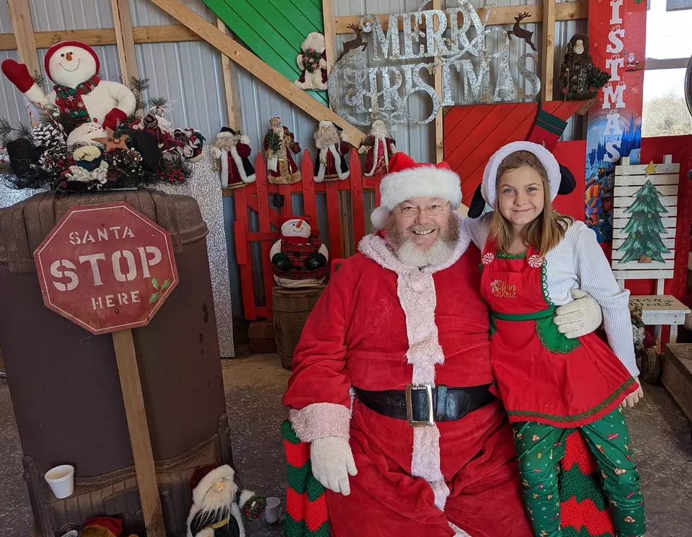 Facebook - Starr Pines Christmas Tree Farm