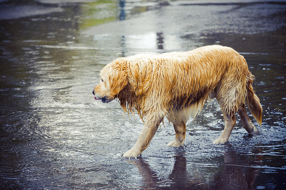 Mother&#8217;s Day Weekend Will Be Wet, Any Severe Storms Possible?