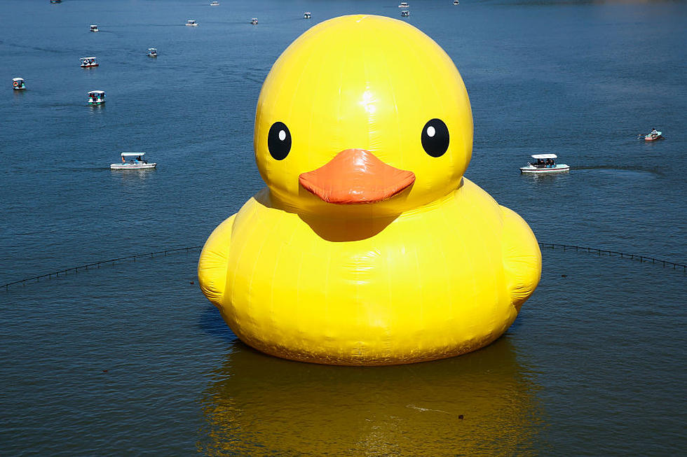 Will Rubber Duck Mania Hit Kansas City? What You Need To Know