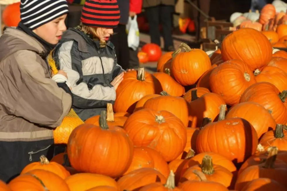 Halloween Activities in the Sedalia/Warrensburg Area