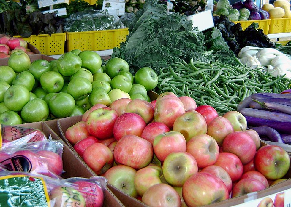 Looking to Add A Dog To Your Pack? Head to the Farmer's Market