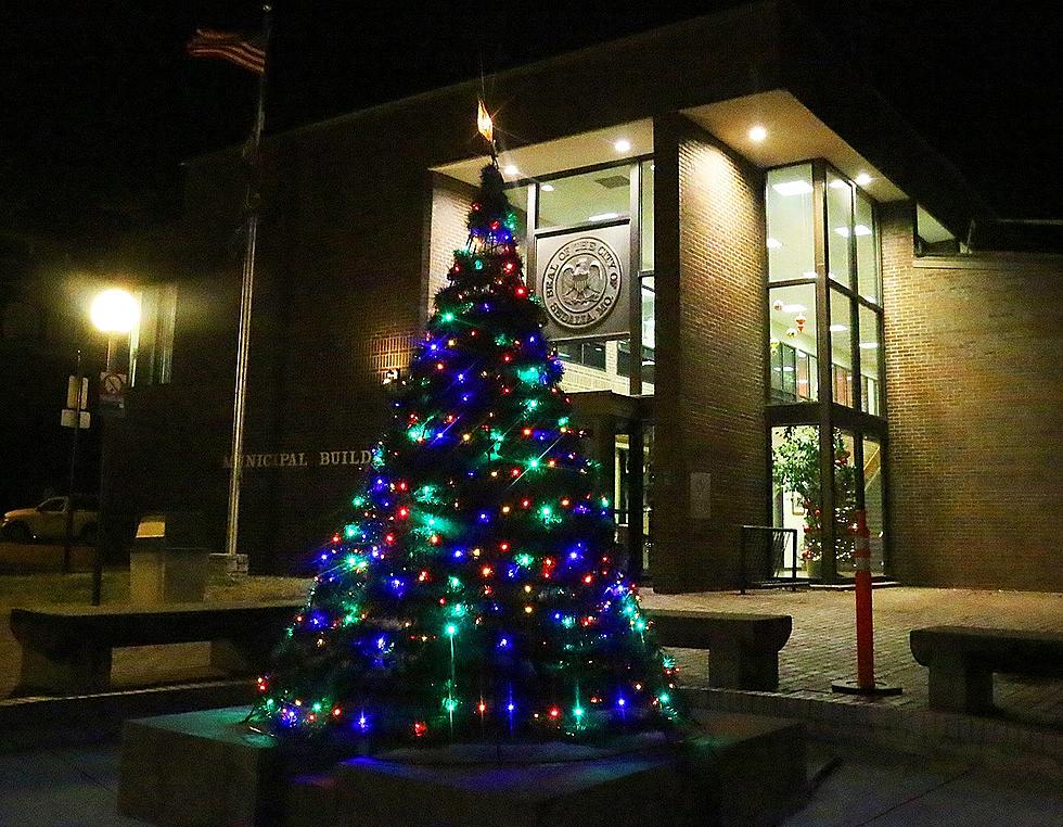 Tips for Disposing of Holiday Trees