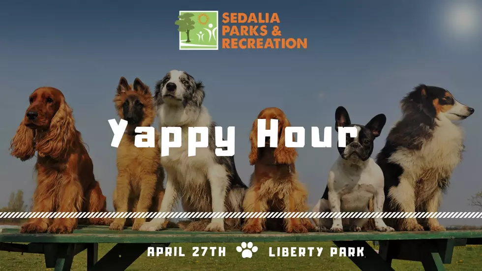 Today&#8217;s The Last Day To Submit For The Yappy Hour Bark Madness!