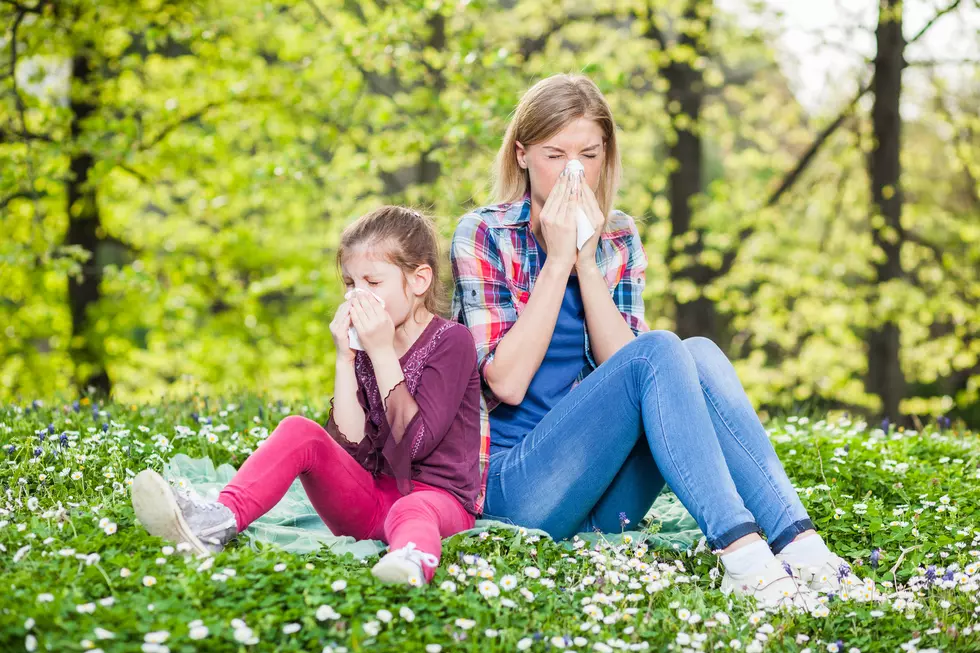 You're Not Imaganing It Allergy Season is Getting Longer 