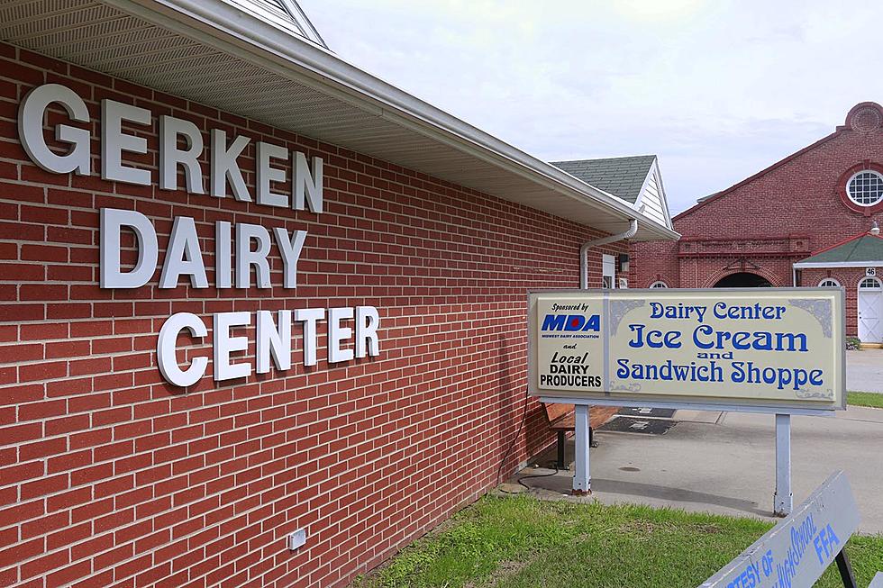 What Happens To The Butter Cow After The Fair?