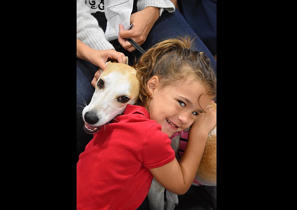 Sacred Heart School Blesses the Pets