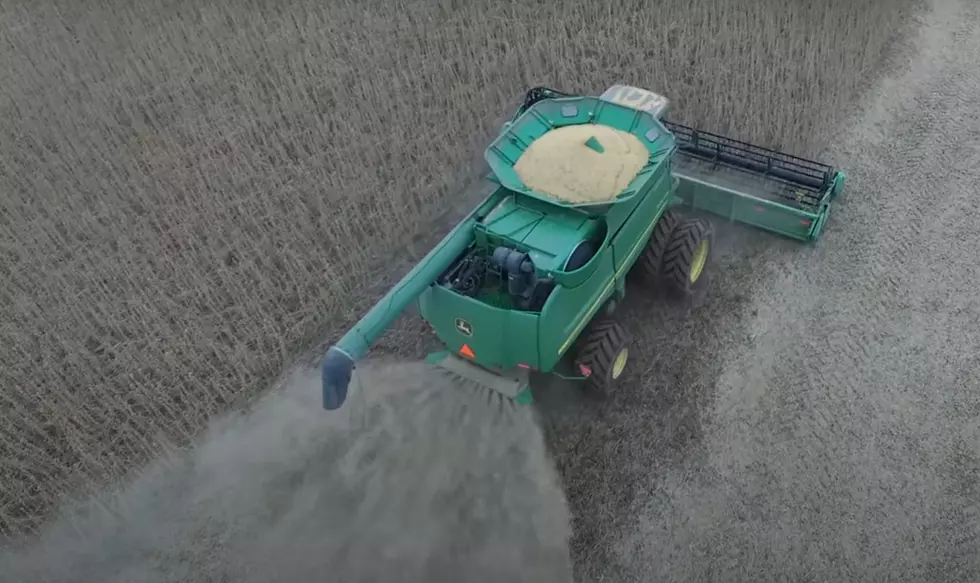 UnWind With This Oddly Satisfying Soybean Harvest Video