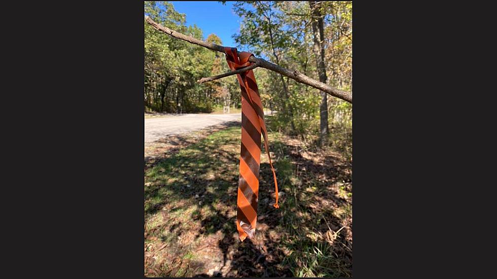 Why Are There Flags Tied to Trees at Knob Noster State Park? 