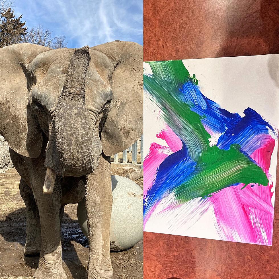 Animal Art For Sale at the KC Zoo This Weekend