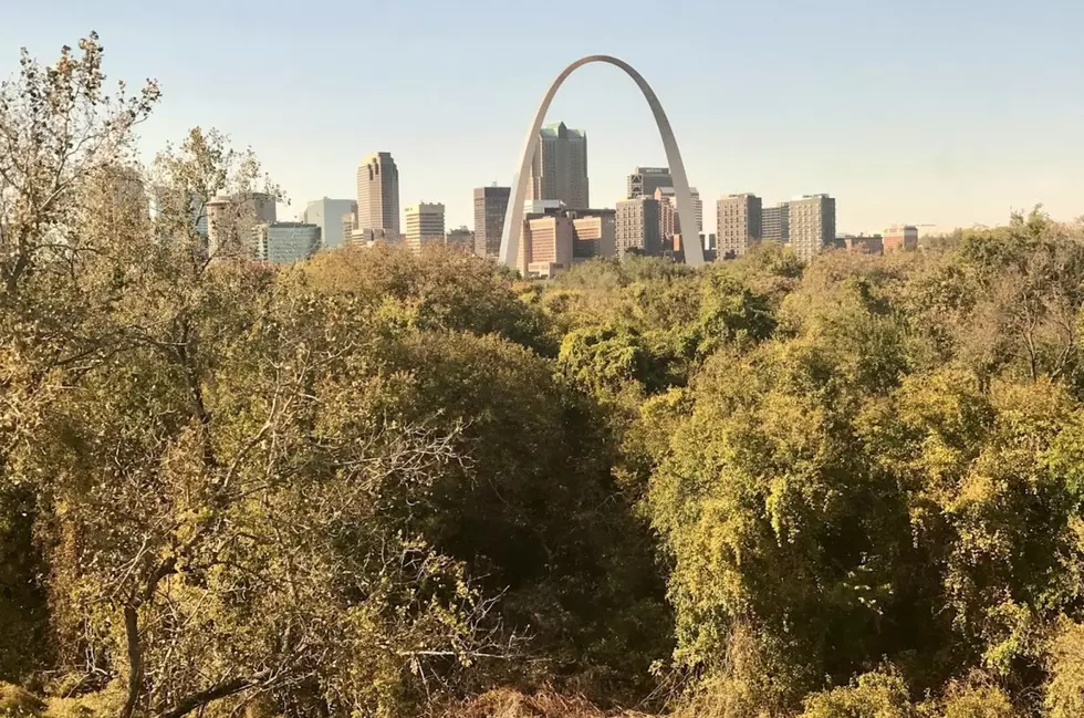 Seen Out the Window: Industry, Nature & One of the Tallest Dorms [Pictures]