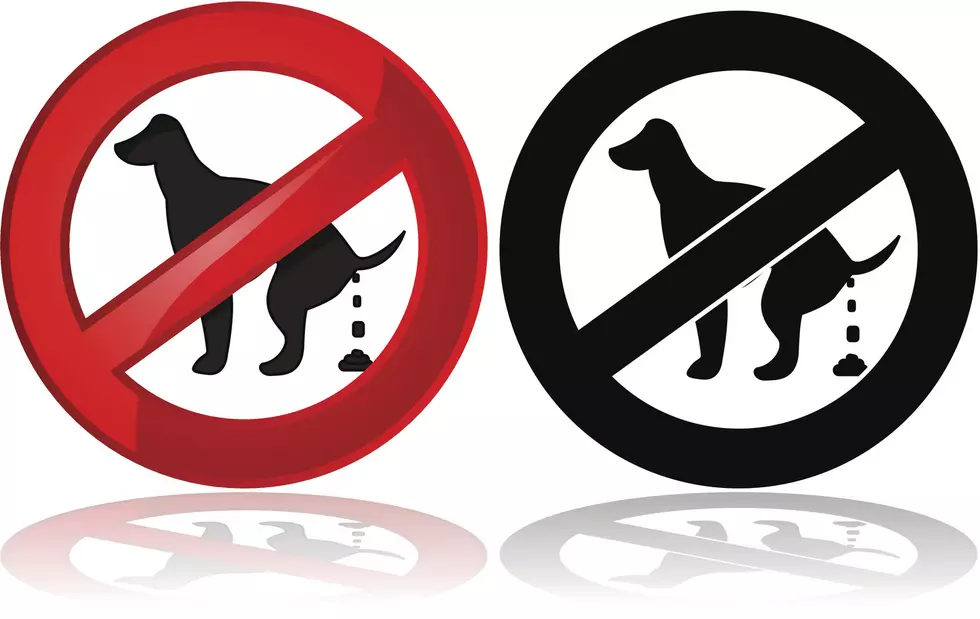Is It Legal To Let Your Dog Poop In Someone's Yard In Missouri?