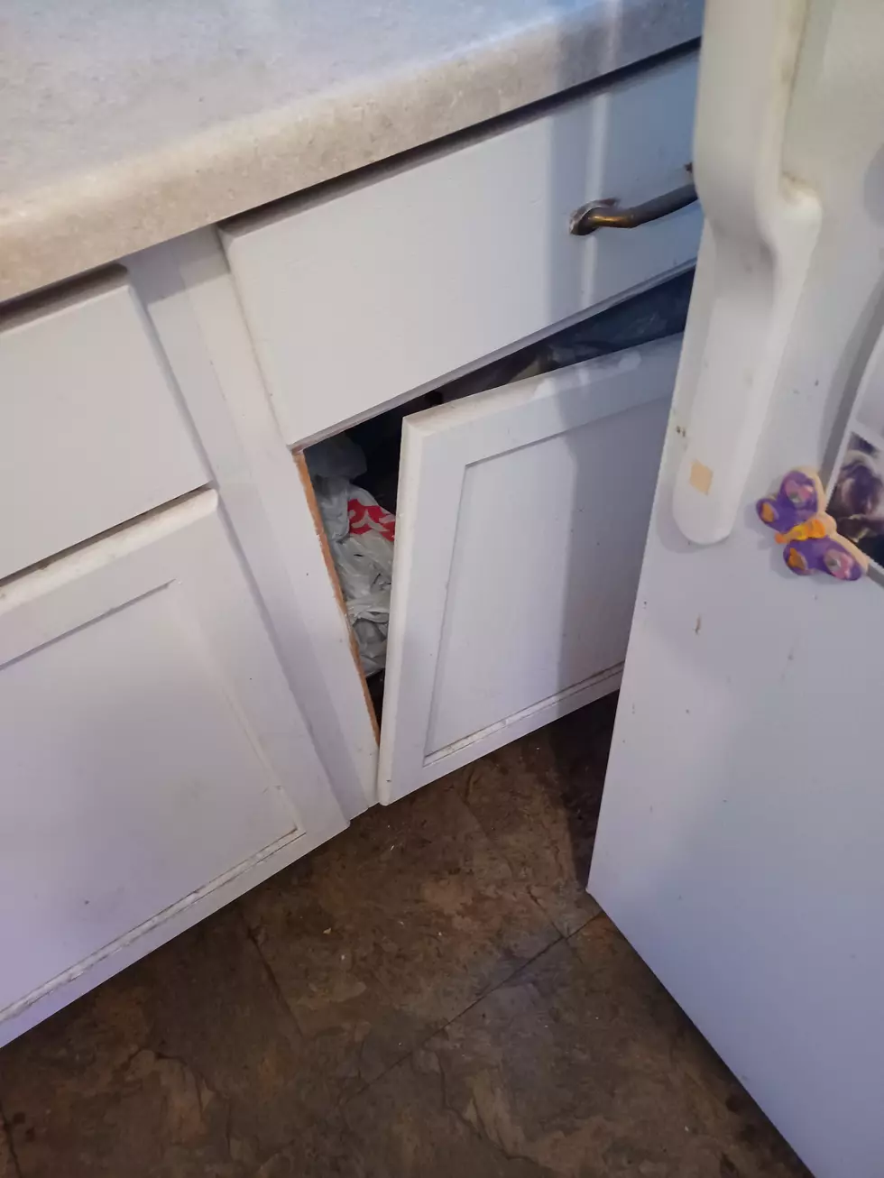 The Unsolved Mystery of The Rogue Kitchen Cabinet