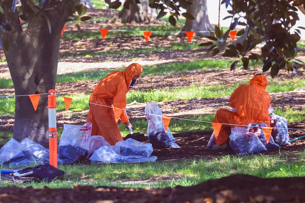 Toxic Asbestos Found At Multiple Sites Across Sydney