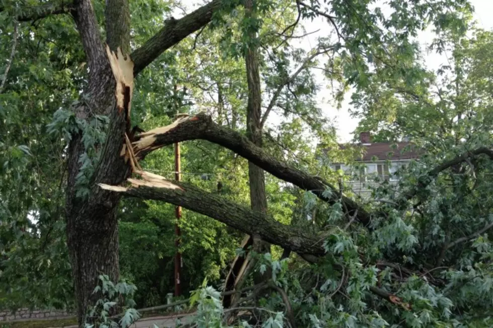 Eastern Missouri Thunderstorm Leaves Behind Damage