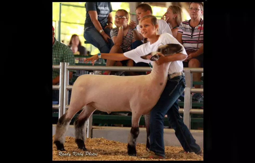 Benton County 4-H, FFA Youth Fair Schedule Noted