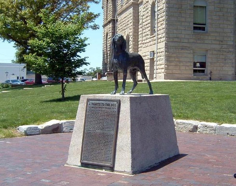 Old Drum to be the Official ‘Historical Dog of Missouri’