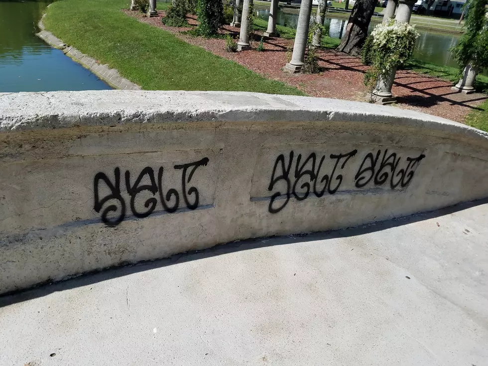 Several Cases of Vandalism Reported at Liberty Park