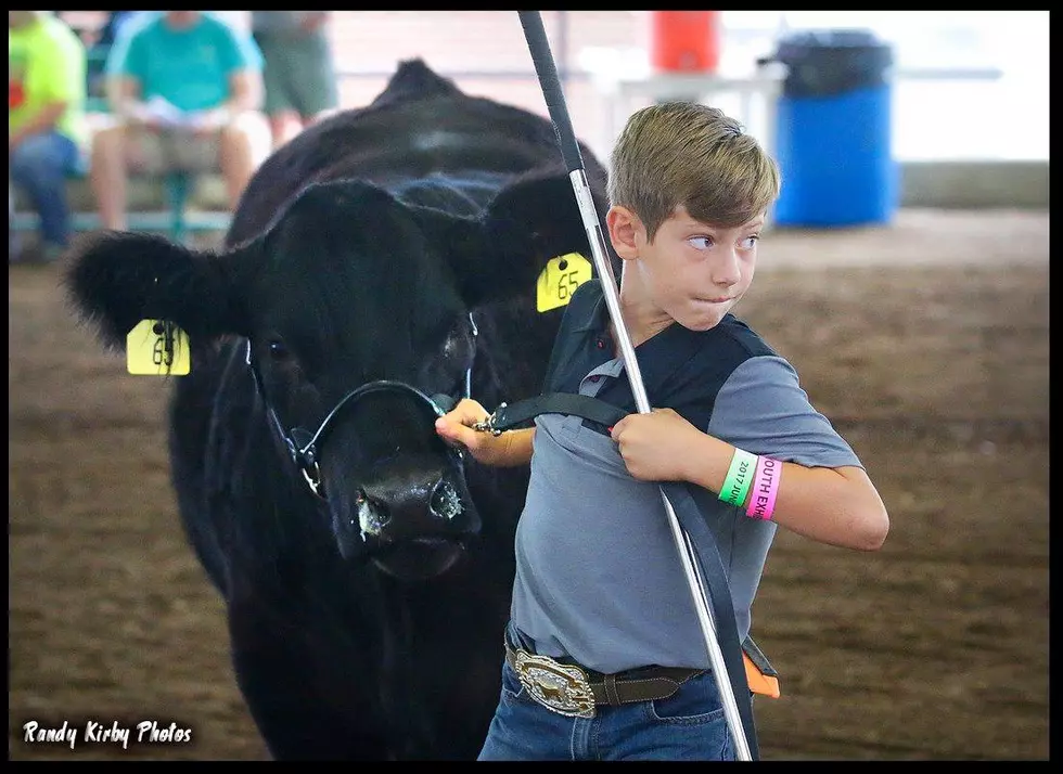 Mo State Fair Foundation Youth in Ag Scholarship Apps Now Available