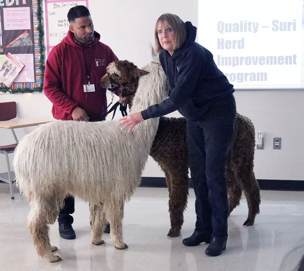 S-C Statistics Students get Four-Legged Surprise