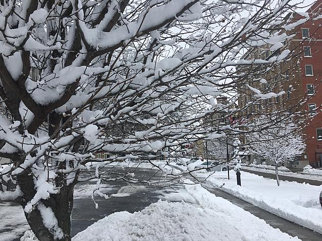 City of Sedalia Activates Emergency Snow Routes