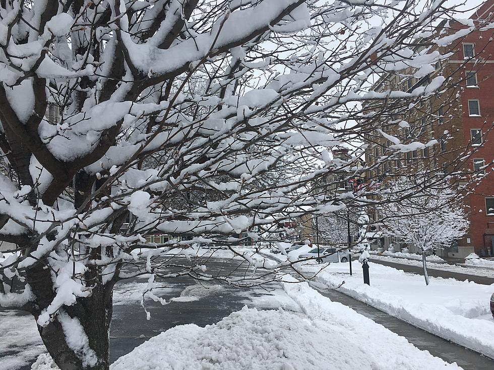 Sedalia Schedules Winter Storm Debris Clean-up