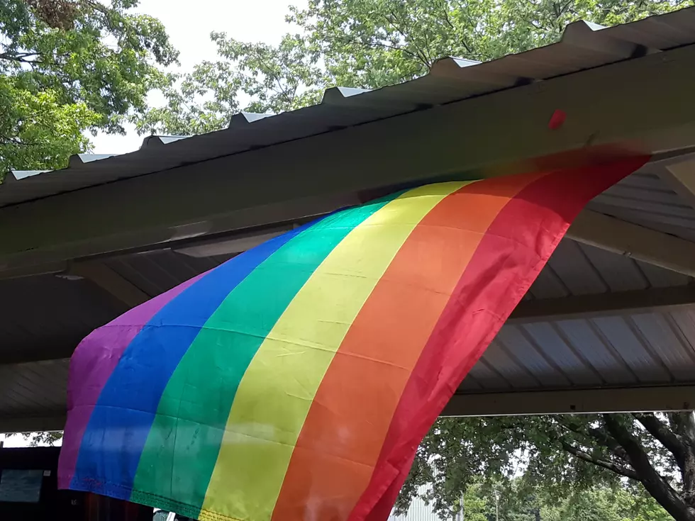 Pettis County LGBTQ+ Pride Picnic Promotes Love, Inclusion