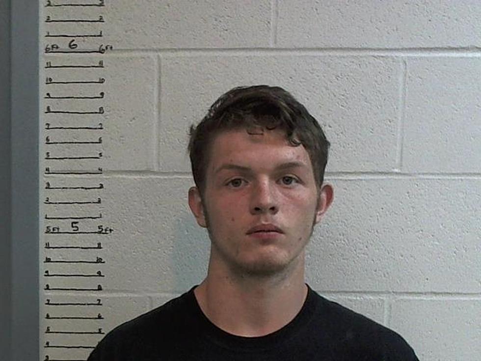 Two Sedalia Teens Arrested in Car Theft Investigation