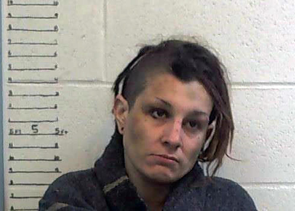 Woman Arrested After High-speed Chase Ends in Moniteau County