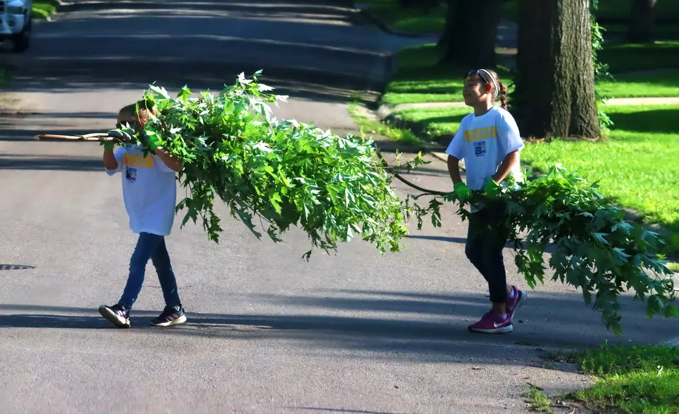 United Way Springs Into Action at Vermont Park