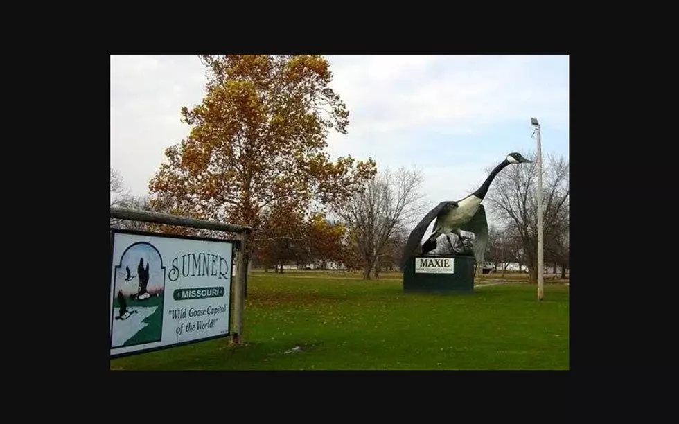 The World's Largest Goose Is Here in Missouri! 