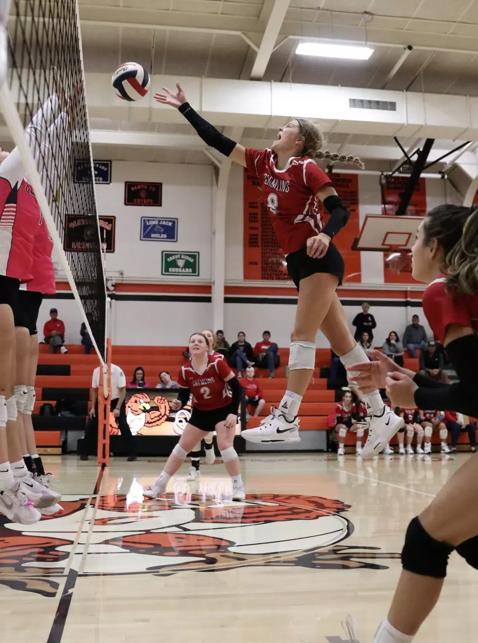 Sacred Heart Volleyball Beats Concordia in Three Sets
