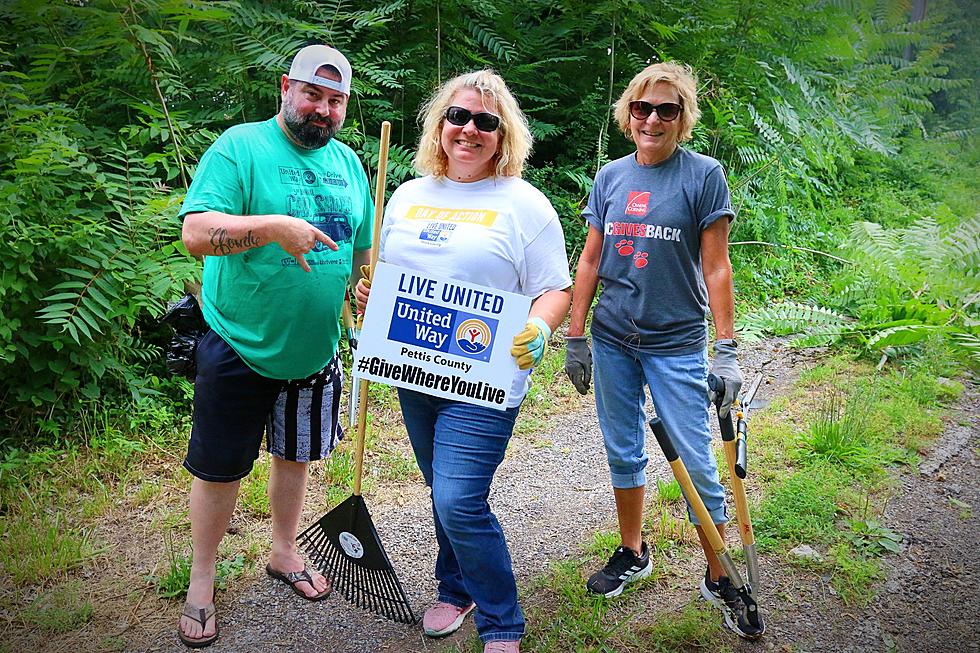 United Way of Pettis County ‘Day of Action’ Draws 250 Volunteers