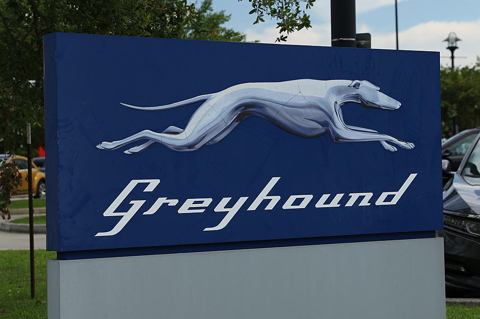 3 dead, 14 injured in Illinois Crash Involving Greyhound Bus & Tractor-trailers